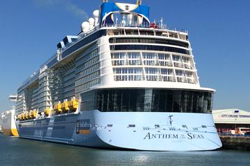 Private Port Transfer: Central London to Southampton Cruise Terminals