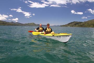 Half day Guided Sea Kayak Tour from Picton