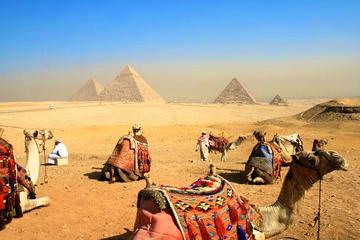 Private Camel Ride At Giza Pyramid For 2 Hours