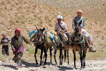 Fez Middle Atlas Mountains Private Day Trip