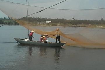 Fishing and taking basket boats in the nipa palm forest of Hoi An