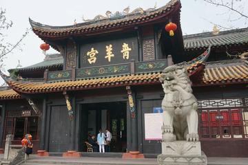1 Day Budget Chengdu Highlight Private Tour With Chengdu Giant Panda Breeding and Research Base Including Lunch