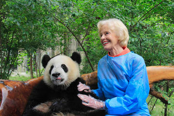 Private One Day Panda Volunteer Work at Chengdu Giant Panda Breeding Research Base in Dujiangyan