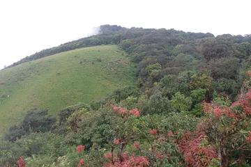 Small-Group Doi Inthanon National Park and Kiew Mae Pan Trail from Chiang Mai