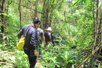Trekking Trip (Doi Suthep Area)