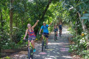 Small-Group Green Bike Tour of Bangkok