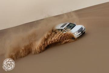 Morning Desert Safari From Abu Dhabi