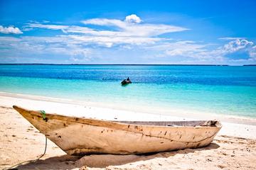 22-Day Overland Zanzibar Victoria Falls and Kruger Tour from Dar es Salaam