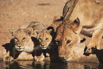 24-Day Overland South East Adventure Tour from Nairobi