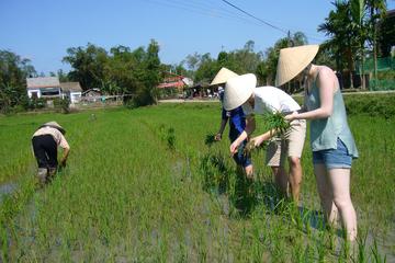 Afternoon Countryside Bike Tour from Hoi An