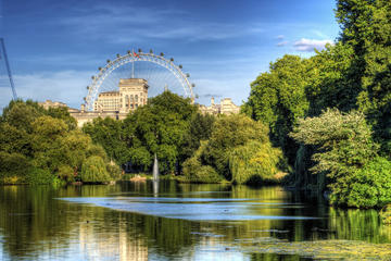 Private Tour: London Sightseeing Walking Tour