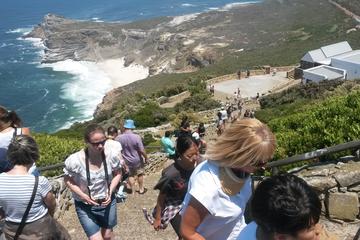 Cape Point and Winelands Full Day Tour from Cape Town