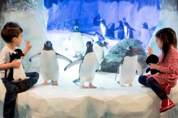 SEA LIFE Val d'Europe Paris General Admission