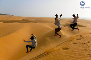 Half day quad biking: Big dunes and forest