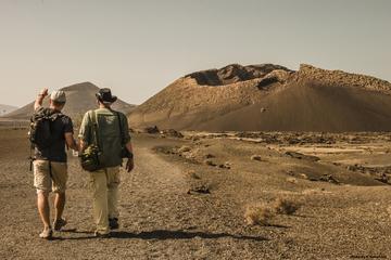 Lanzarote Volcanoes Small-Group Half-Day Walking Tour