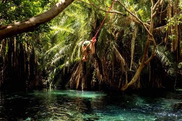 Kikuletwa Hot Springs