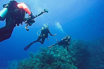 Guided Shore Diving Tour
