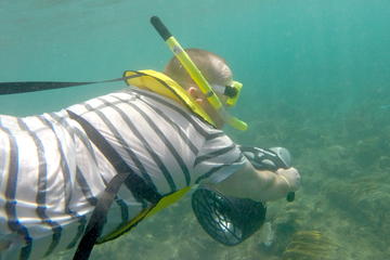 Underwater Power Snorkel Safari in Rincon