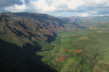 Private Waimea Canyon Kauai Sightseeing Tour