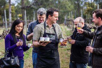 Chef-Led Hunter Valley Gourmet Food and Wine Day Trip from Sydney