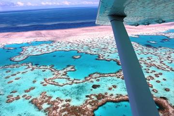 8-Day Cairns Tour: Great Barrier Reef, Kuranda, Daintree Rainforest