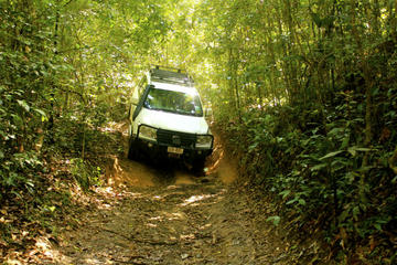 Barron Gorge and Kuranda National Park Half Day Rainforest and Waterfall 4WD Tour from Cairns