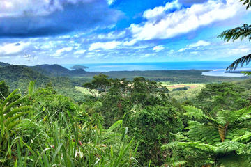 Private Daintree National Park Day Tour from Cairns Including Cape Tribulation and Mossman Gorge