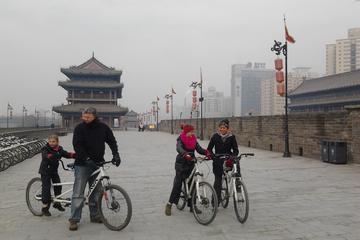 Xi'an City Day Tour