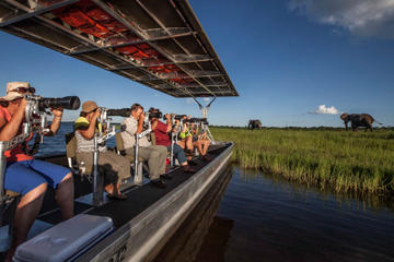 Photographic River Cruise on The Chobe