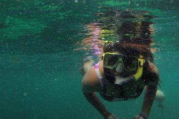 Full-Day Pulau Payar Snorkeling Tour from Langkawi