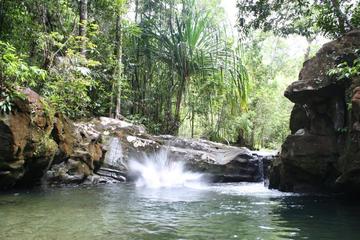 Private Tour: Family Trekking in Langkawi