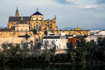 Cordoba Mosque guided tour