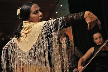 Half Day Flamenco Historical Tour and Show