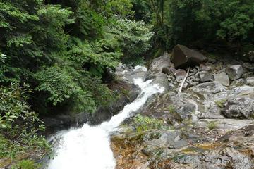 Day-Trip to Gunung Gading Rafflesia Centre from Kuching City with Lunch
