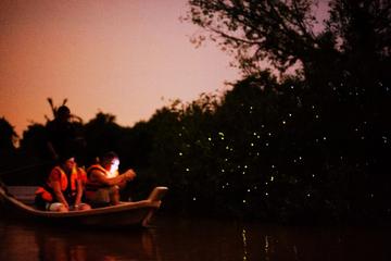Fireflies and Kuala Selangor Tour Including Dinner