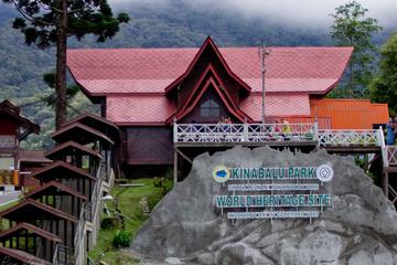 Full-Day Kinabalu Park and Poring Hot Spring