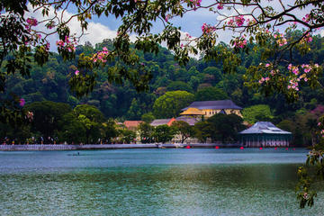 Kandy Highlands Full Day Tour