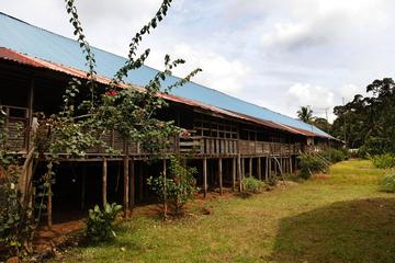Kuching Bidayuh Longhouse and Empurau Experience