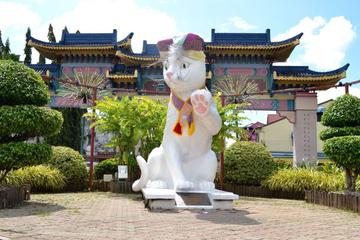 Kuching City Tour & Semenggoh Wildlife
