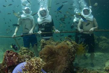 Underwater Observatory Aquarium and Sea Walking Adventure from Kota Kinabalu