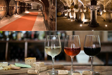 Private Vineyard Tour of Provence from Nice