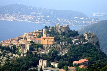 Small-Group Full-Day Tour to Eze and Monaco from Nice
