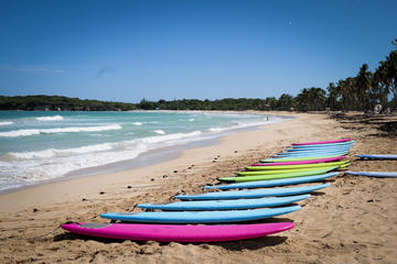 Macao Beach Surf Lessons