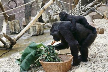 Prague Zoo Admission Ticket including Round Trip Transfer