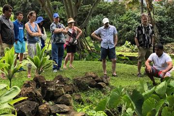 Hawaii Culture Tour