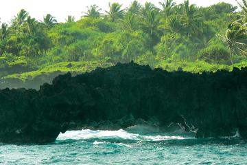 Private Tour: Maui Country Farms