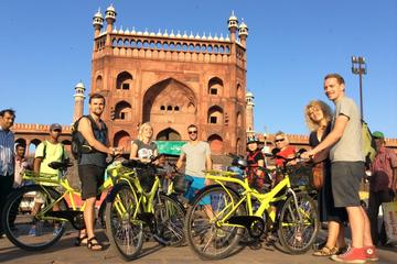 Morning Cycling Tour in Delhi