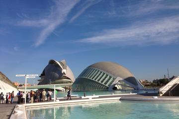 Valencia's City of Arts and Sciences Tour