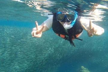 Moalboal Pescador Island Hopping Private Day Tour