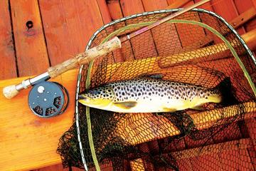 Brown Trout Fly Fishing Day Tour in Lough Corrib County Galway